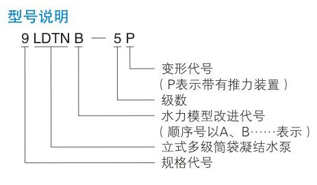 LDTN型凝快色视频最新入口